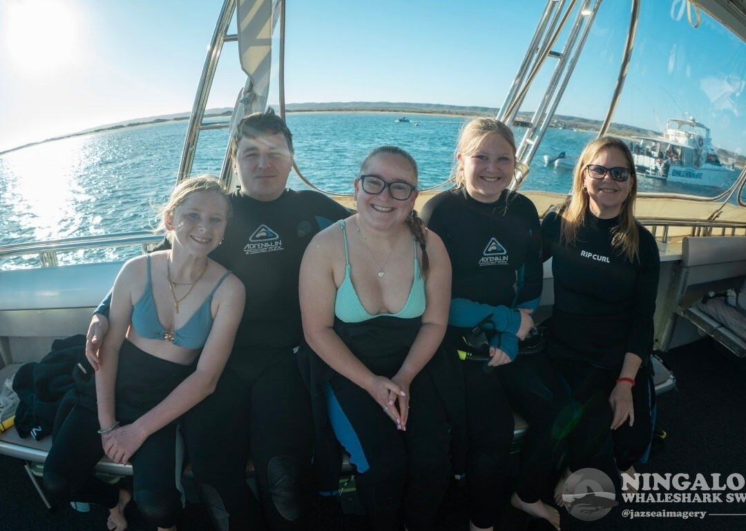 Ningaloo Whaleshark Swim-埃克斯茅斯必去景点