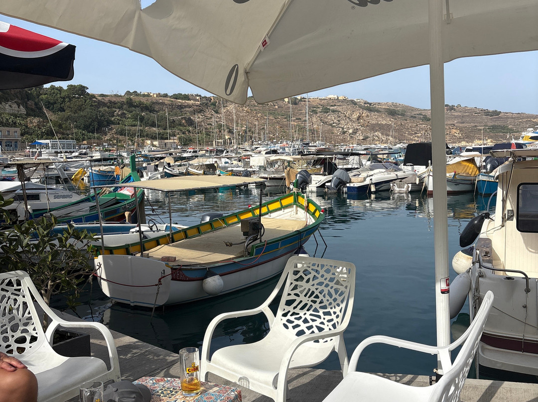 Il Luzzu bar gozo-Mgarr必去景点