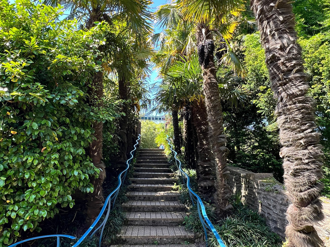 Overbecks Garden-Salcombe必去景点