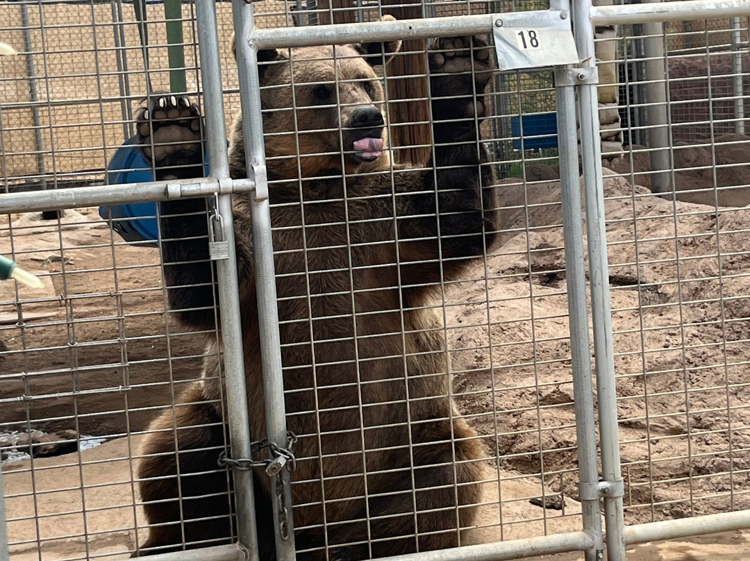 Forever Wild Exotic Animal Sanctuary-Phelan必去景点