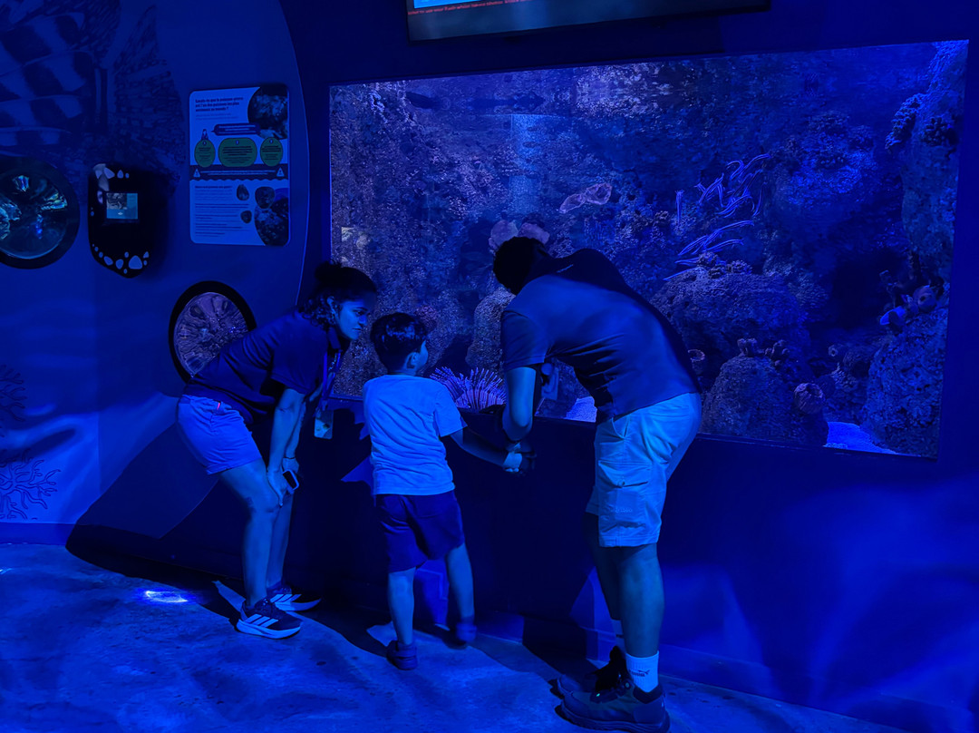Odysseo Oceanarium Mauritius-路易士港必去景点