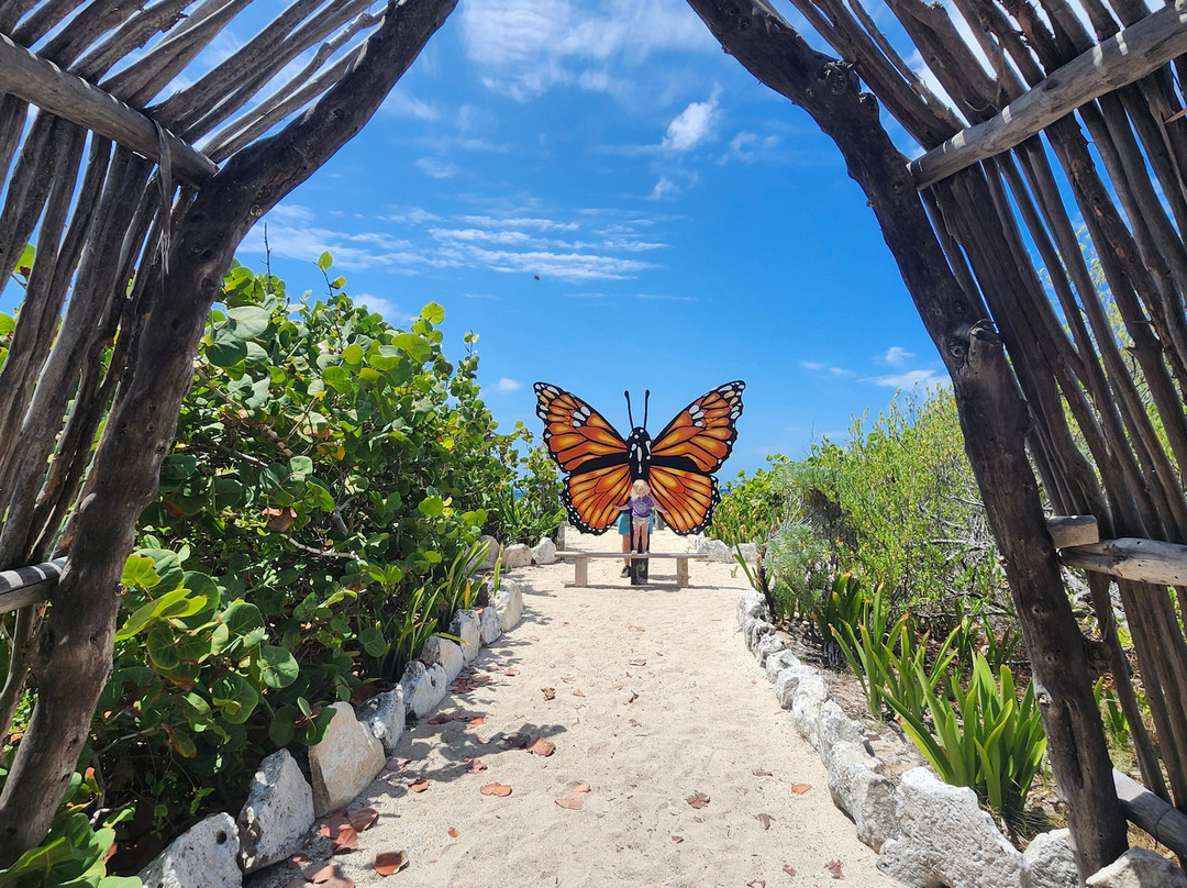 Punta Sur Eco Beach Park-考祖梅必去景点