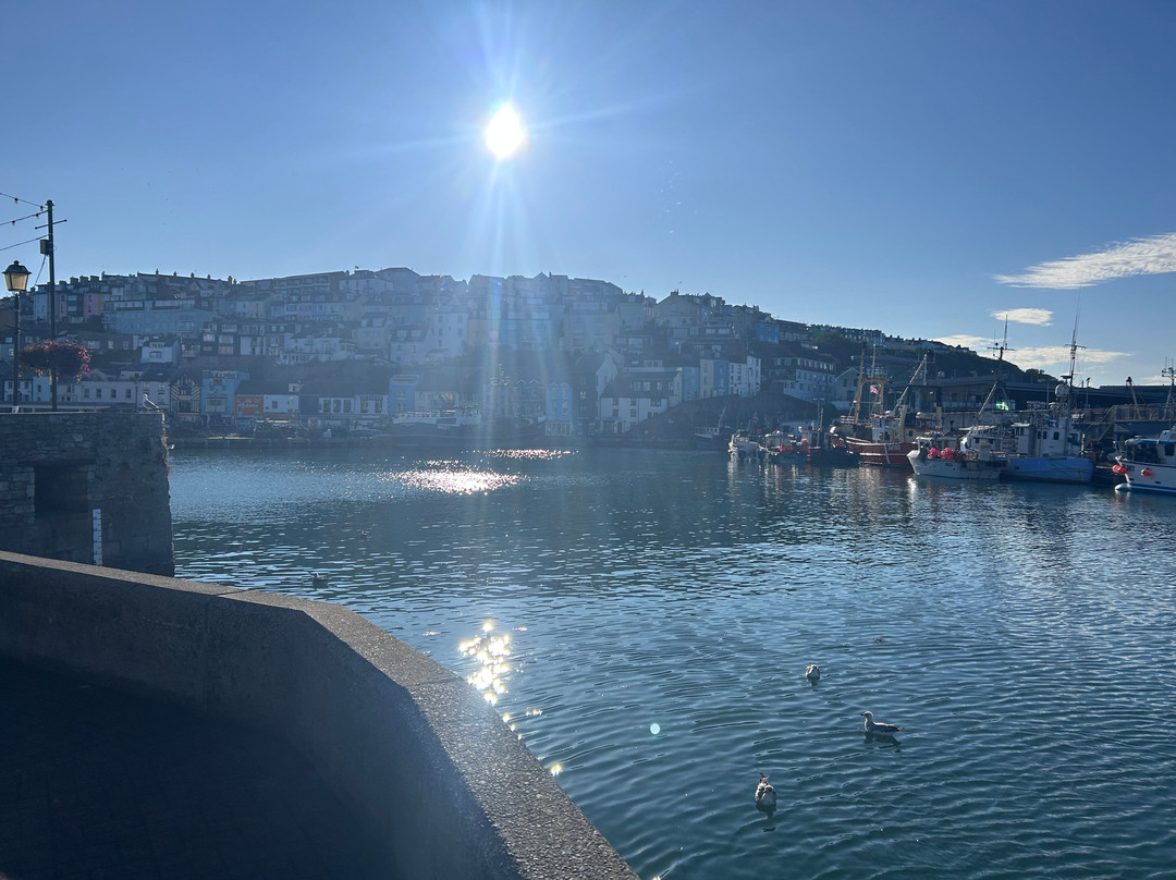 Brixham Harbour-布里克瑟姆必去景点