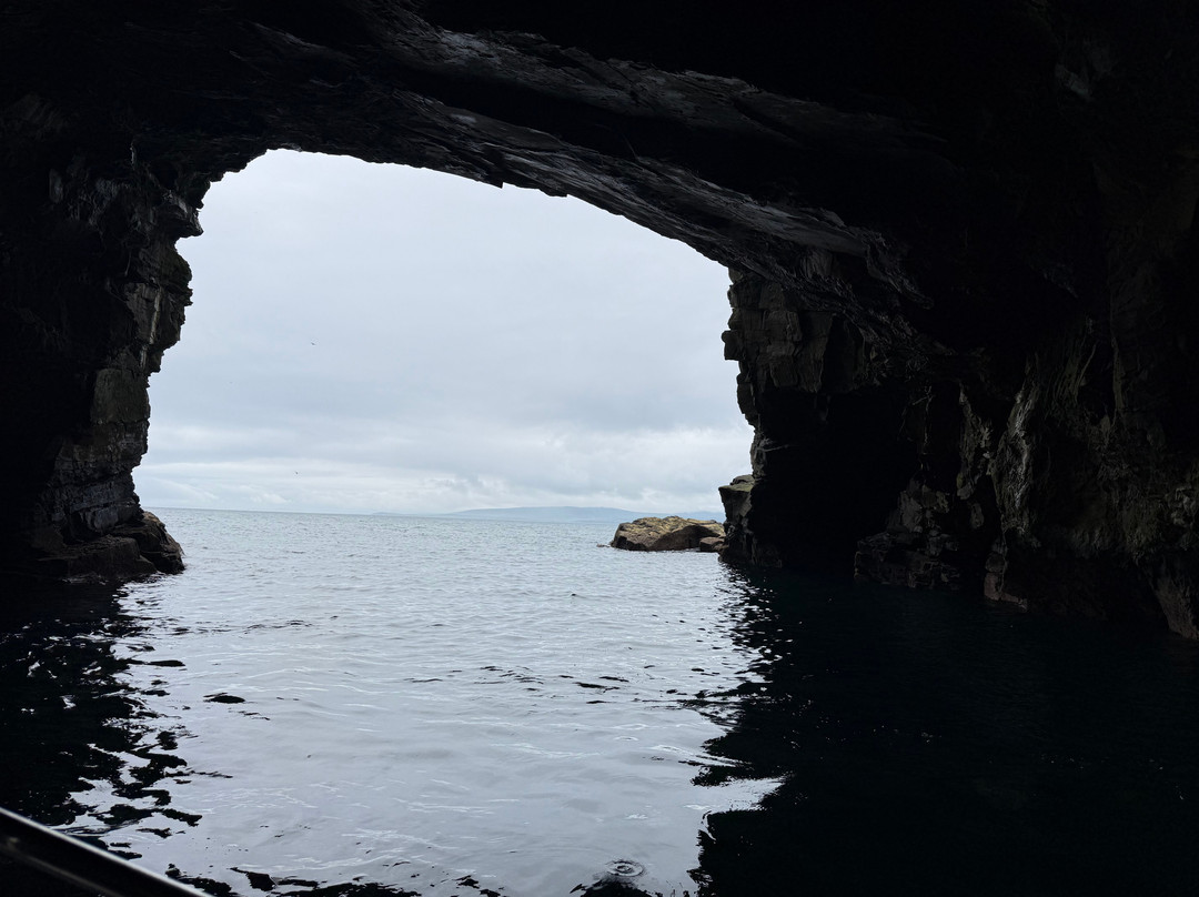 Shetland Seabird Tours - The Noss Boat-Lerwick必去景点