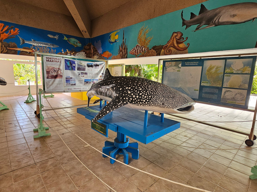 Isla Contoy National Park-Isla Contoy必去景点