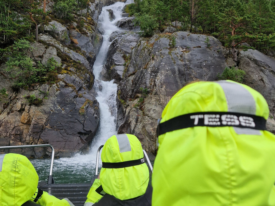 Hardanger Fjordsafari-Eidfjord必去景点