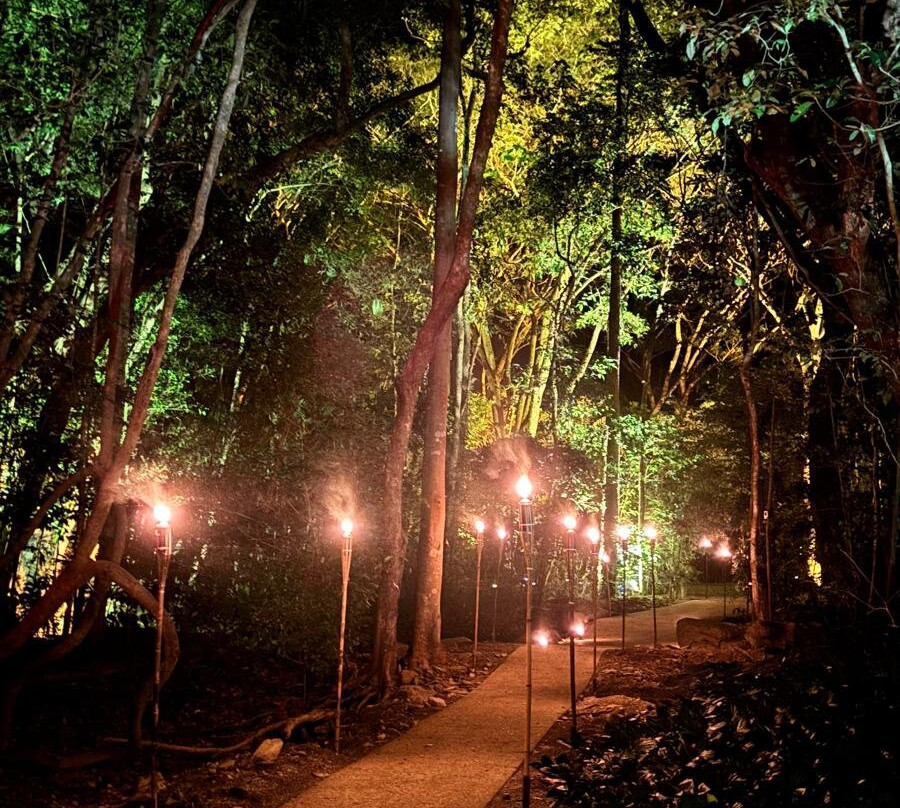 Flames of the Forest-道格拉斯港必去景点