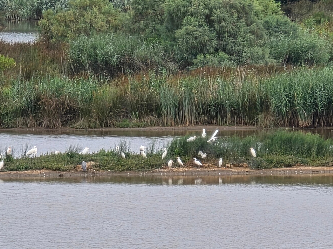 Urdaibai Bird Center-Gautegiz Arteaga必去景点