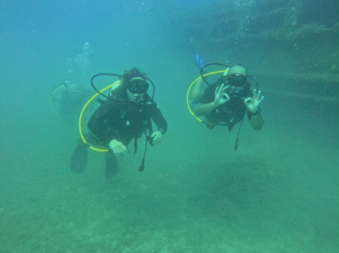 Pro Dive (Ex Blue Thunder Diving)-利马索尔必去景点