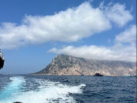 Discovery Diving Sardegna-Puntaldia必去景点