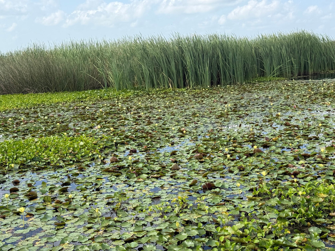 Brazoria National Wildlife Refuge-Freeport必去景点