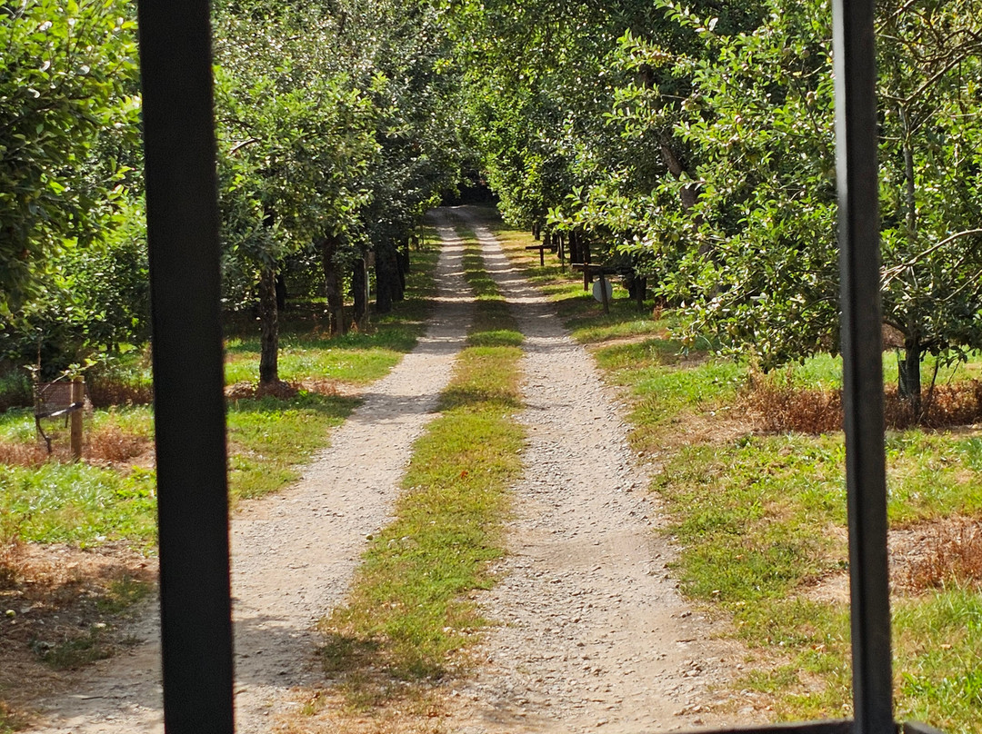 Healeys Cornish Cyder Farm-Penhallow必去景点