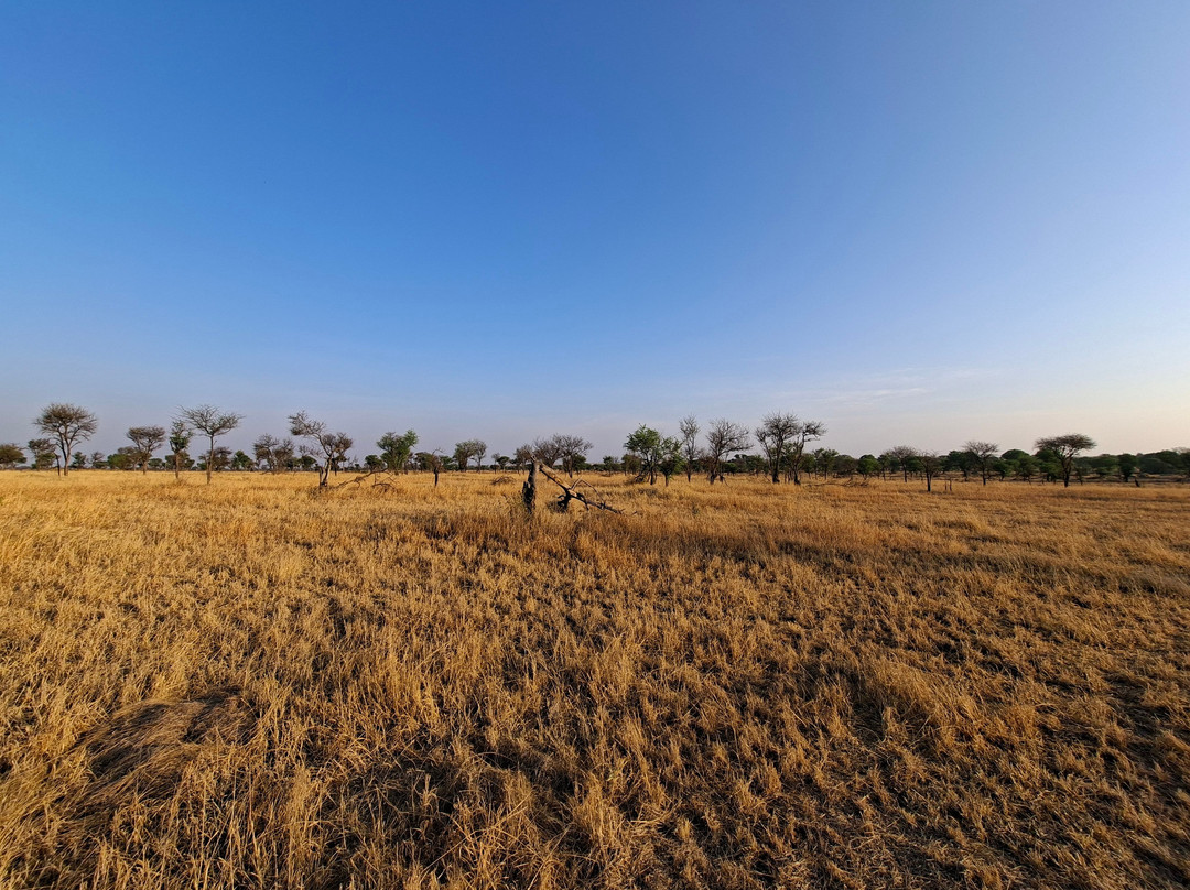 OSOTUA TENTED CAMPS-Ikoma必去景点