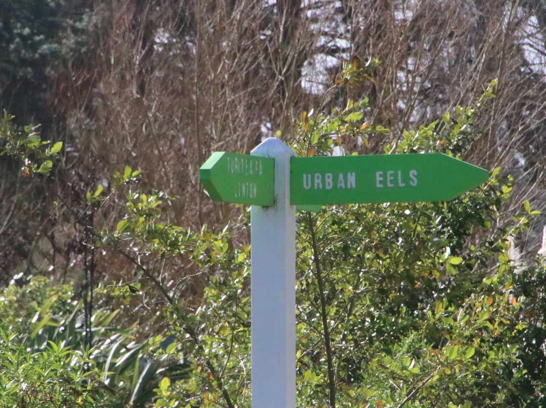 Urban Eels Palmerston North-北帕墨斯顿必去景点