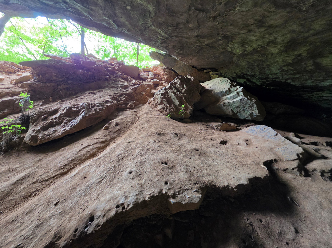 Natural Bridge State Park-天然桥必去景点