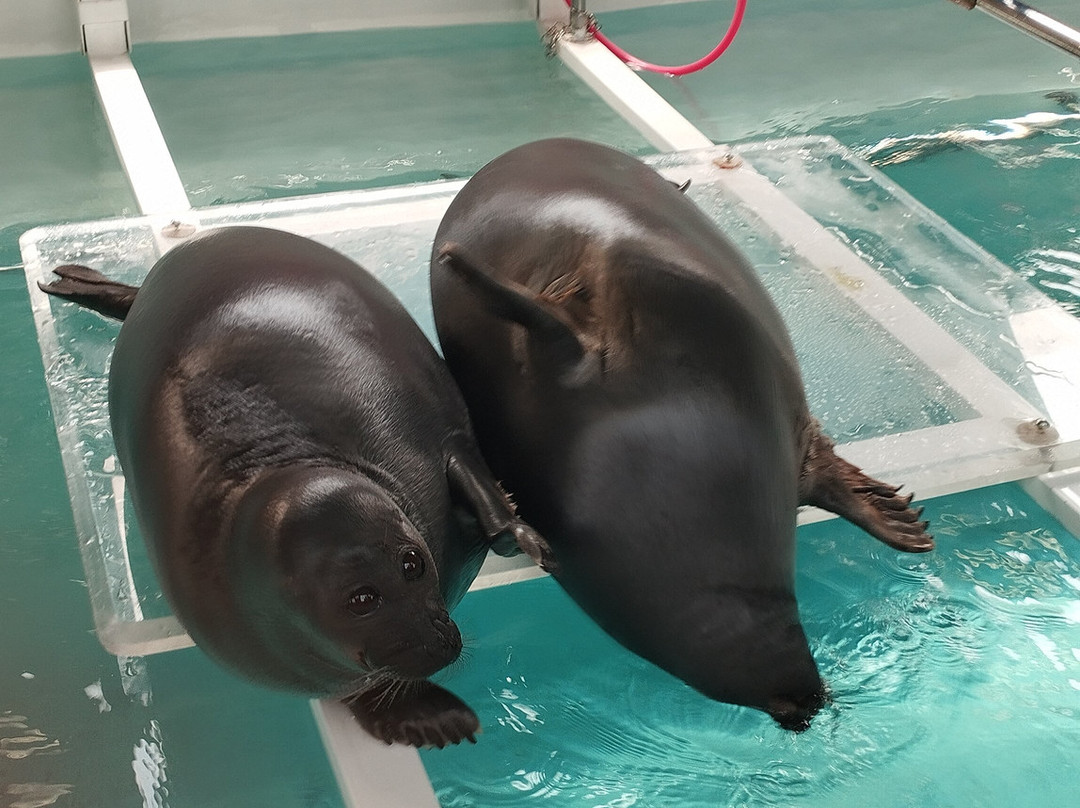 Nerpinary水族馆-利斯特维扬卡必去景点