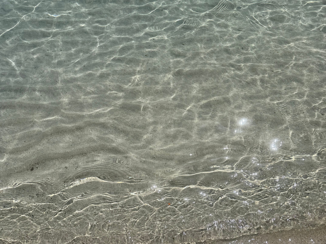 Spiaggia di Cala Sabina-奥尔比亚必去景点