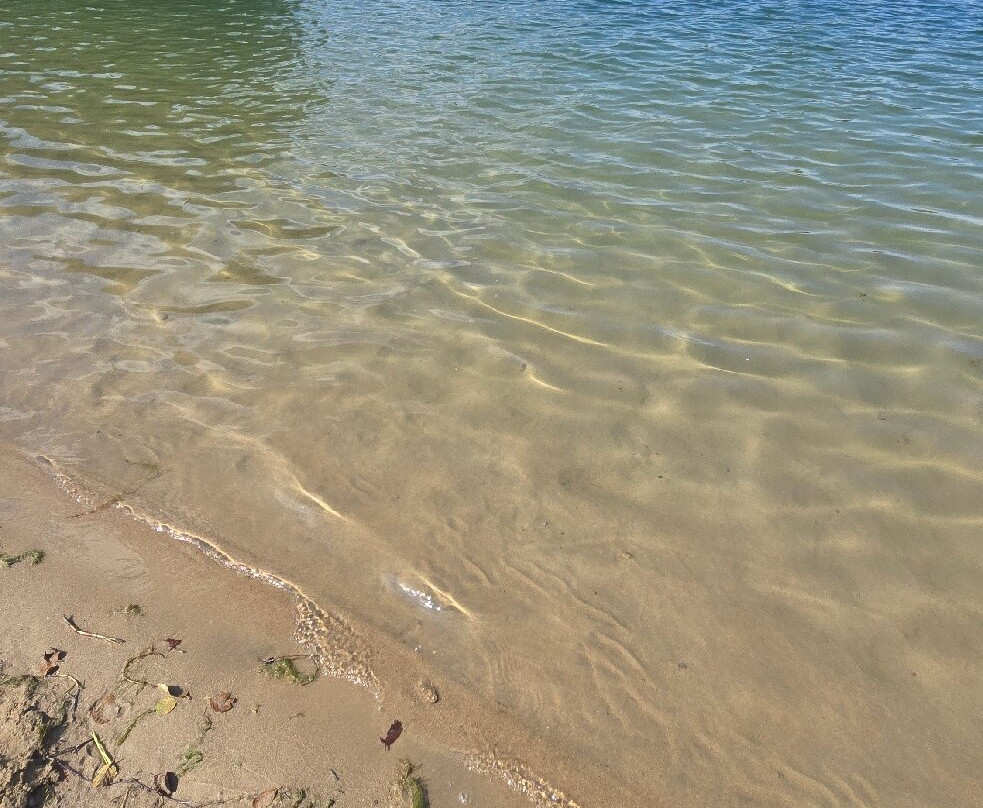 Tvedörasjön