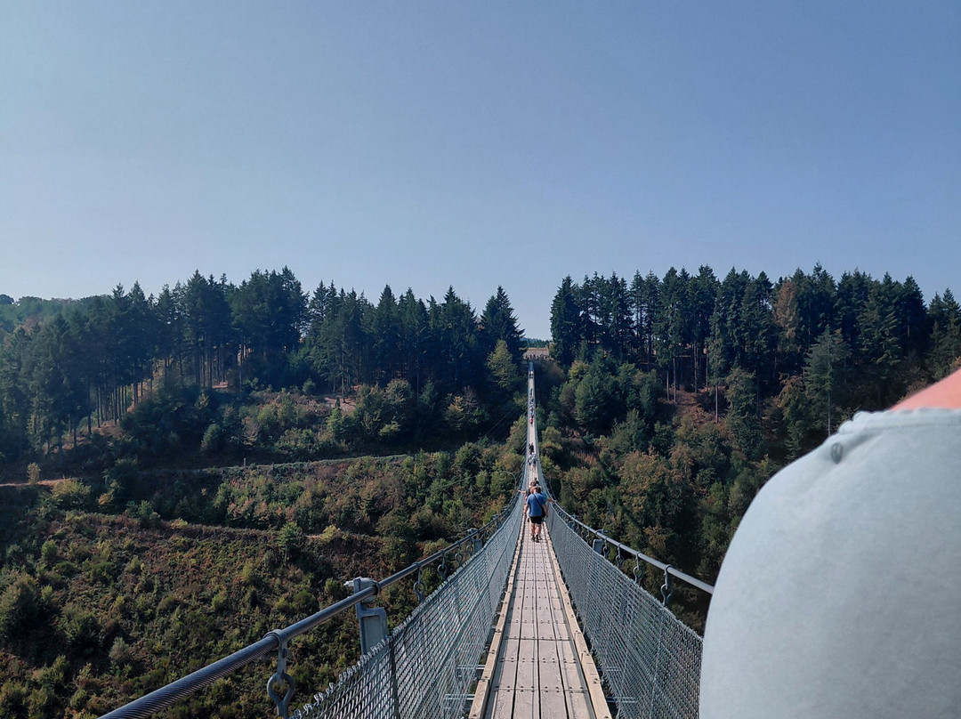 Geierlay Hängeseilbrücke-Moersdorf必去景点