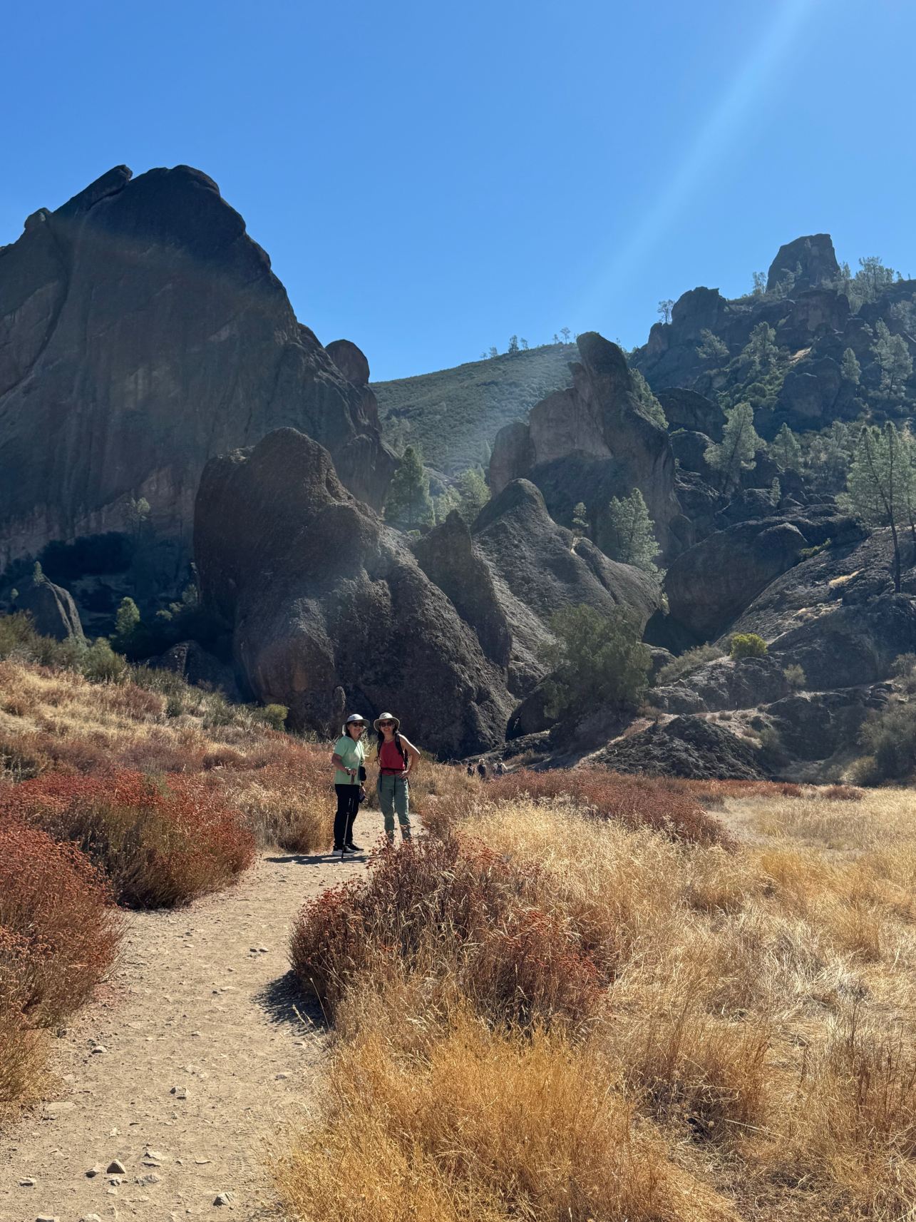 Inn at the Pinnacles-旅行者
