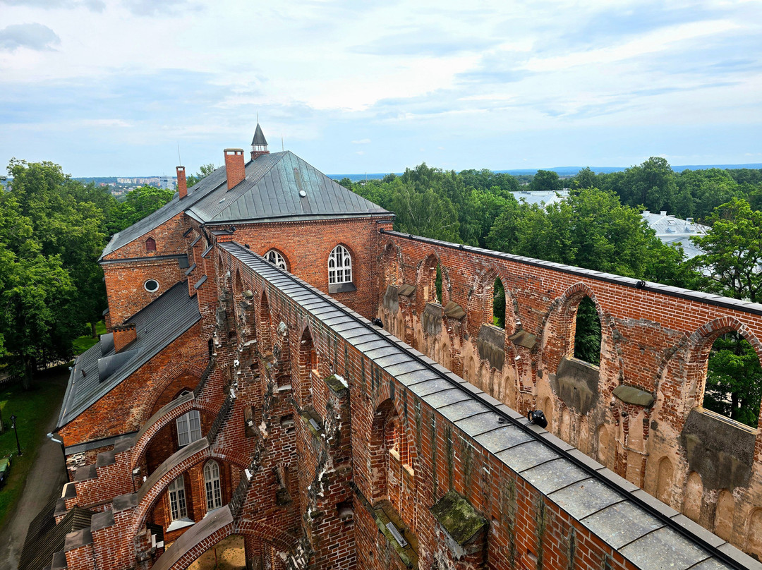 Tartu Cathedral-塔尔图必去景点