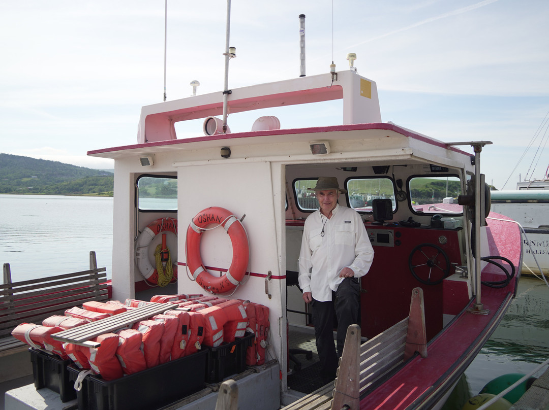 Oshan Whale Watch-Bay St. Lawrence必去景点