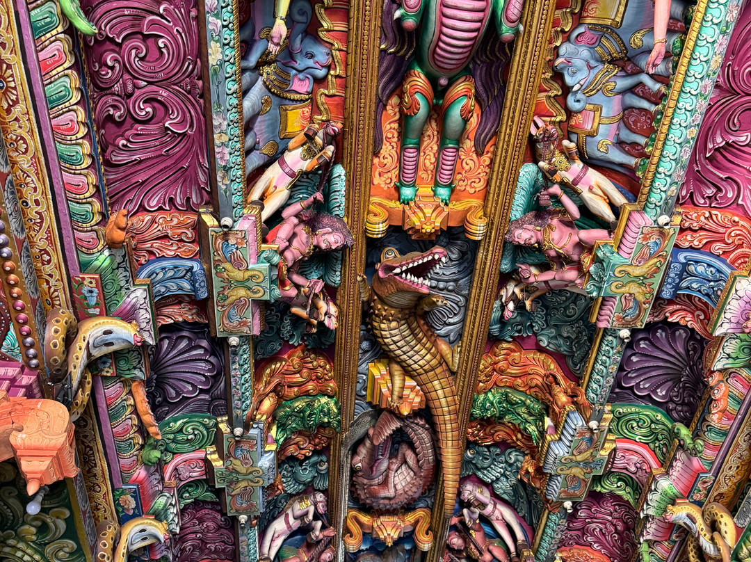 Kumara with Lanka Tour-Gampaha必去景点