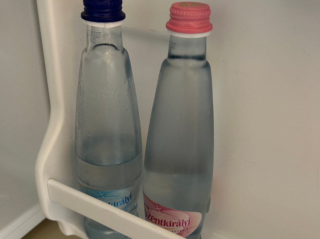 德里巴布酒店主图