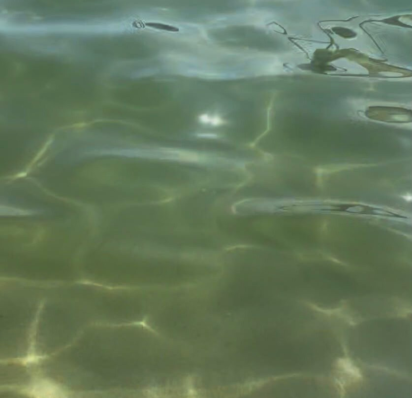 Spiaggia di Cavoli-Seccheto必去景点