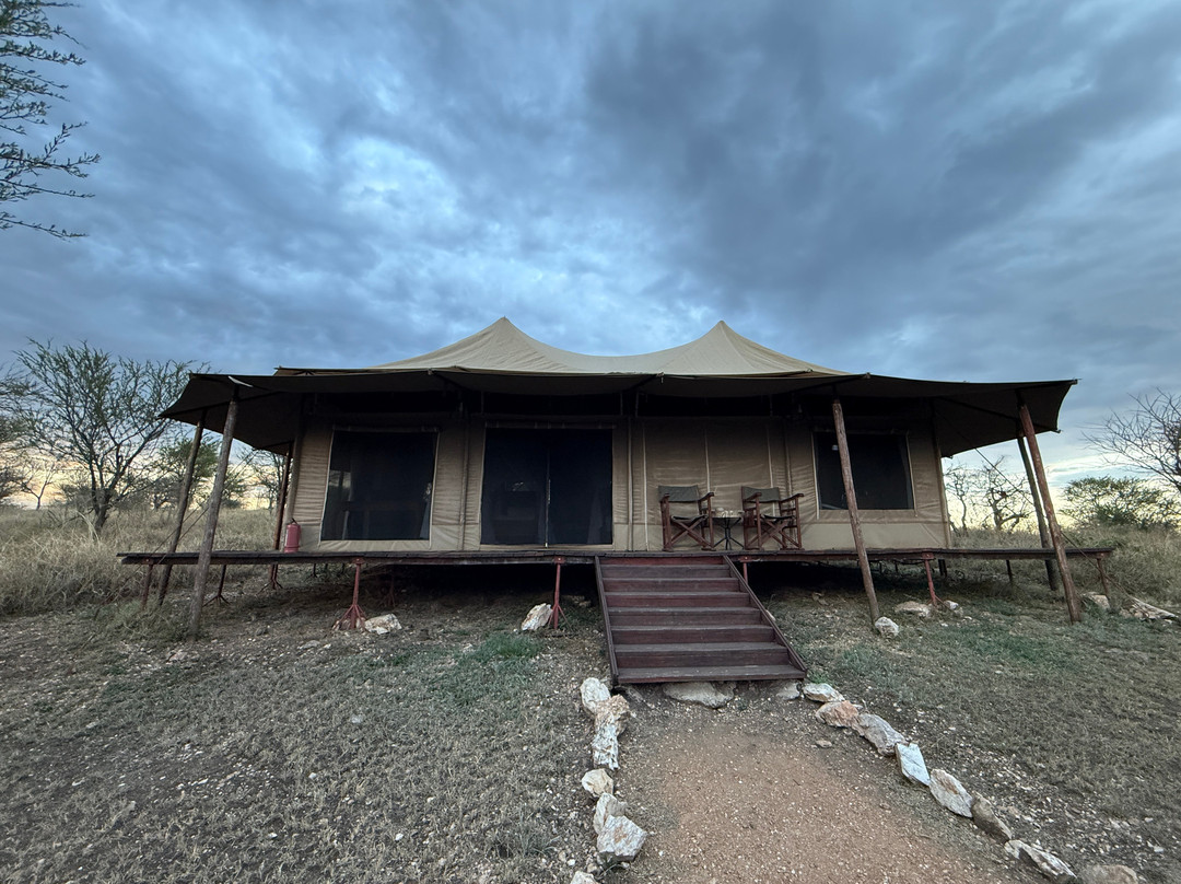 Matawi Serengeti Camp