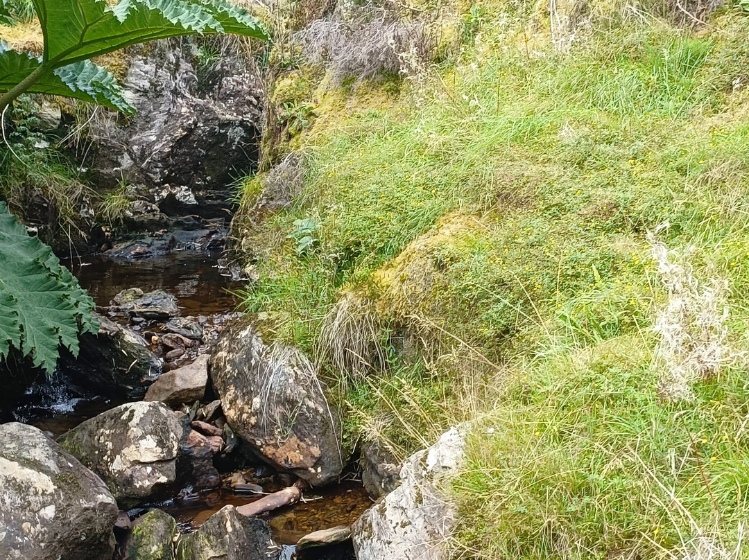 Benmore Botanic Garden-Benmore必去景点