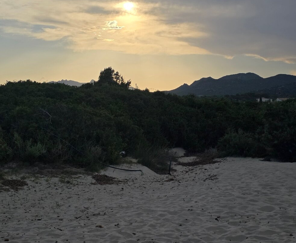 Marina Rey Beach Resort主图