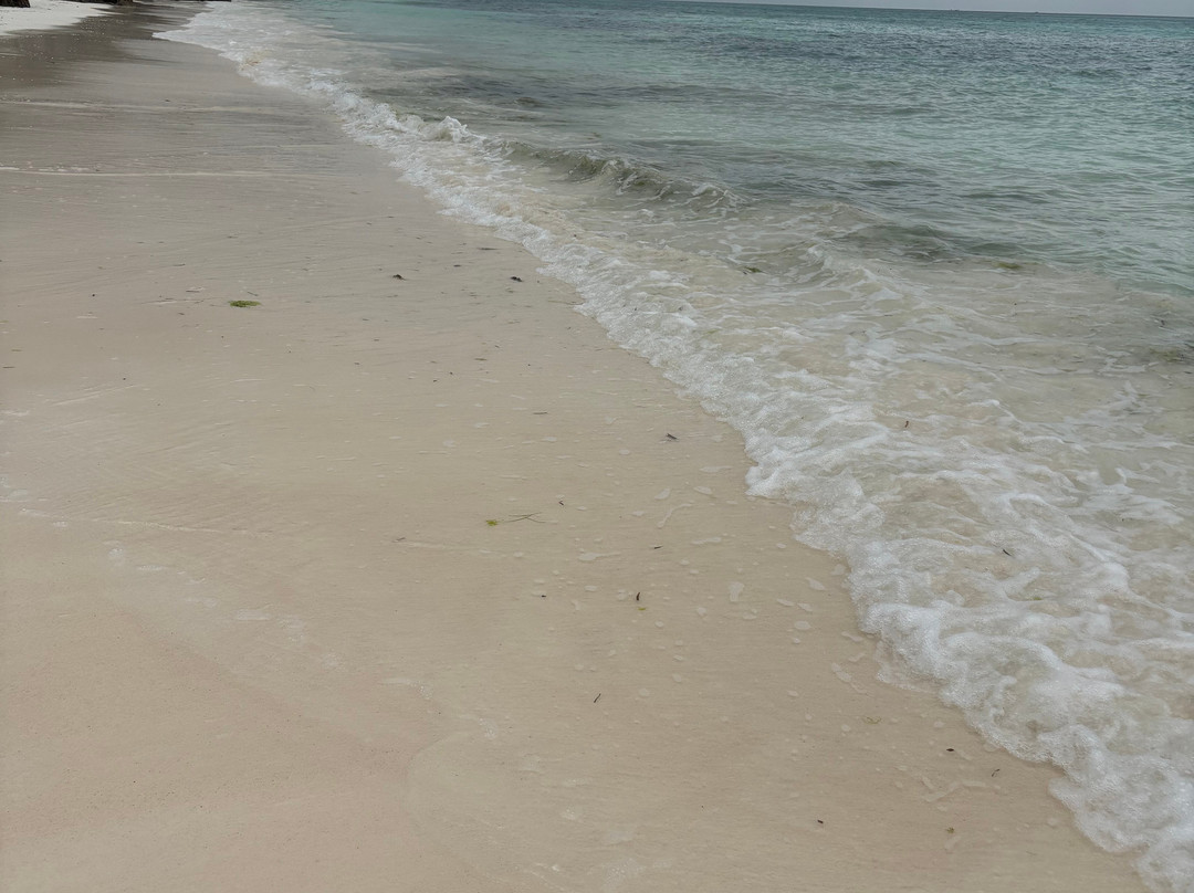 ZanzibarLeisureTours & Safaris-桑给巴尔市必去景点
