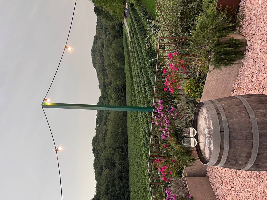 Tenuta Della Casa Wine & Rooms - la Pausa del Collio