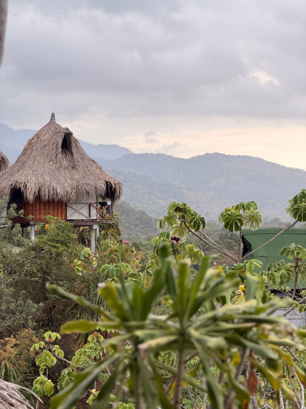 Quetzal Dorado Ecolodge-旅行者