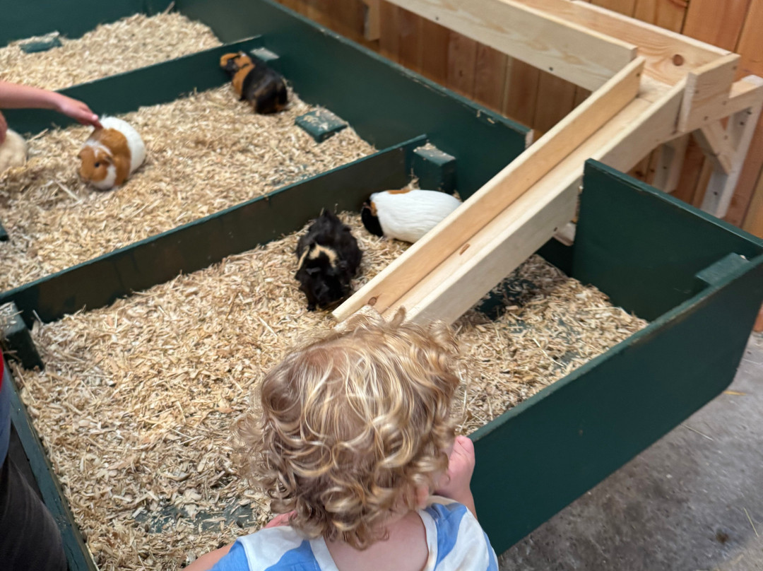 Farmer Teds Adventure Farm-Ormskirk必去景点