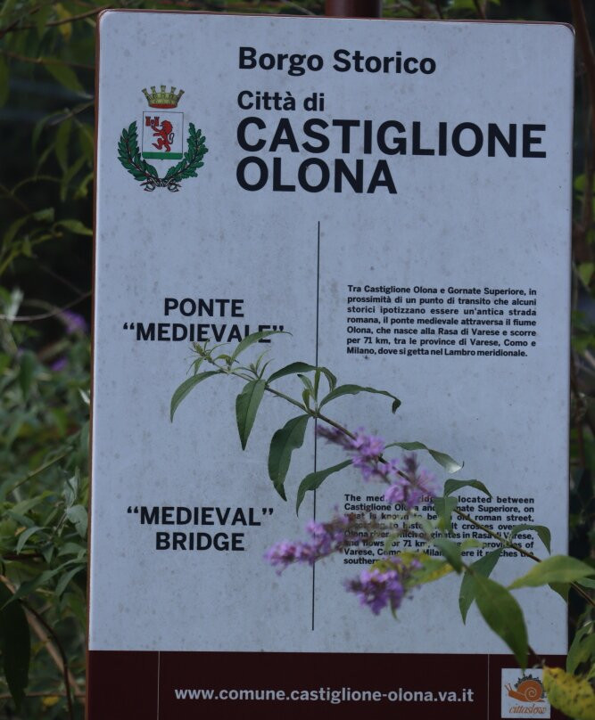 Ponte Medievale-Castiglione Olona必去景点