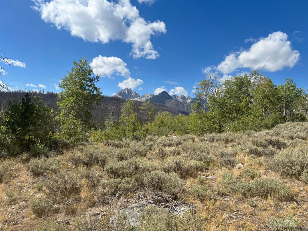 Redfish Lake Corrals- Mystic Saddle Ranch-Stanley必去景点
