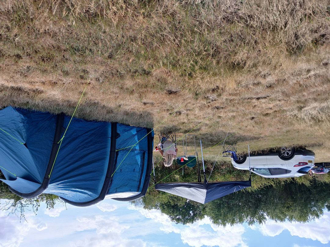 Clarefield Copse Wild Camping