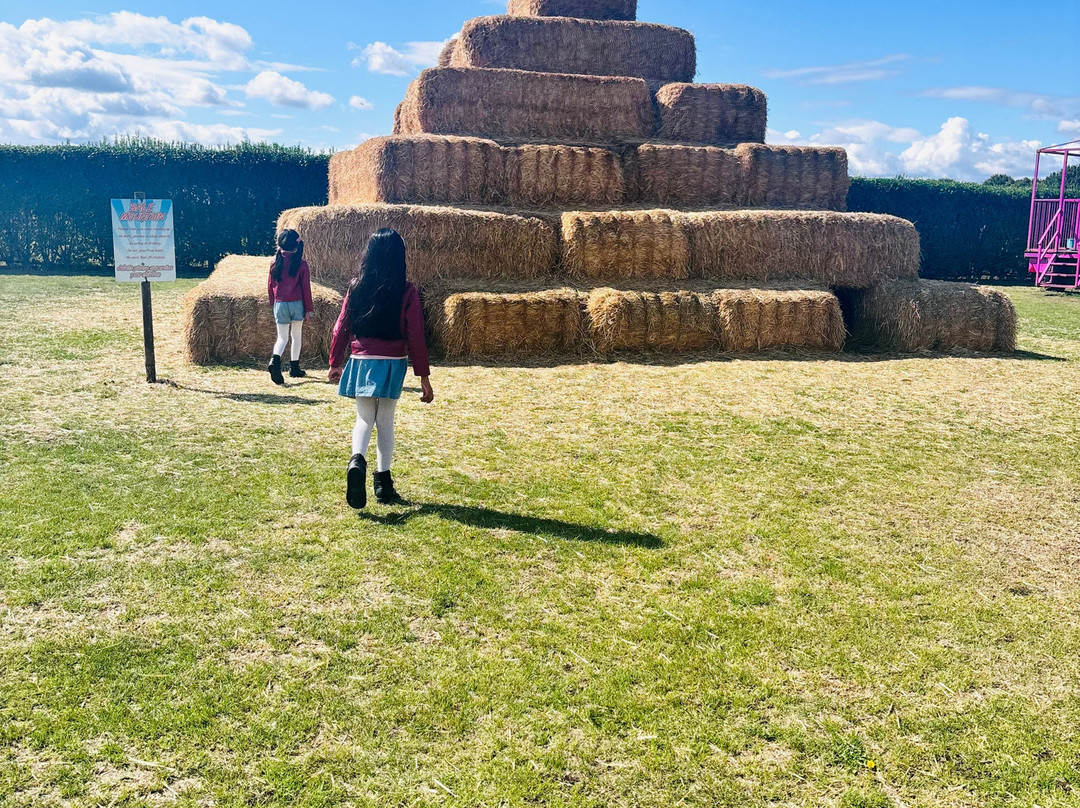 Skylark Maize Maze & Funyard-March必去景点