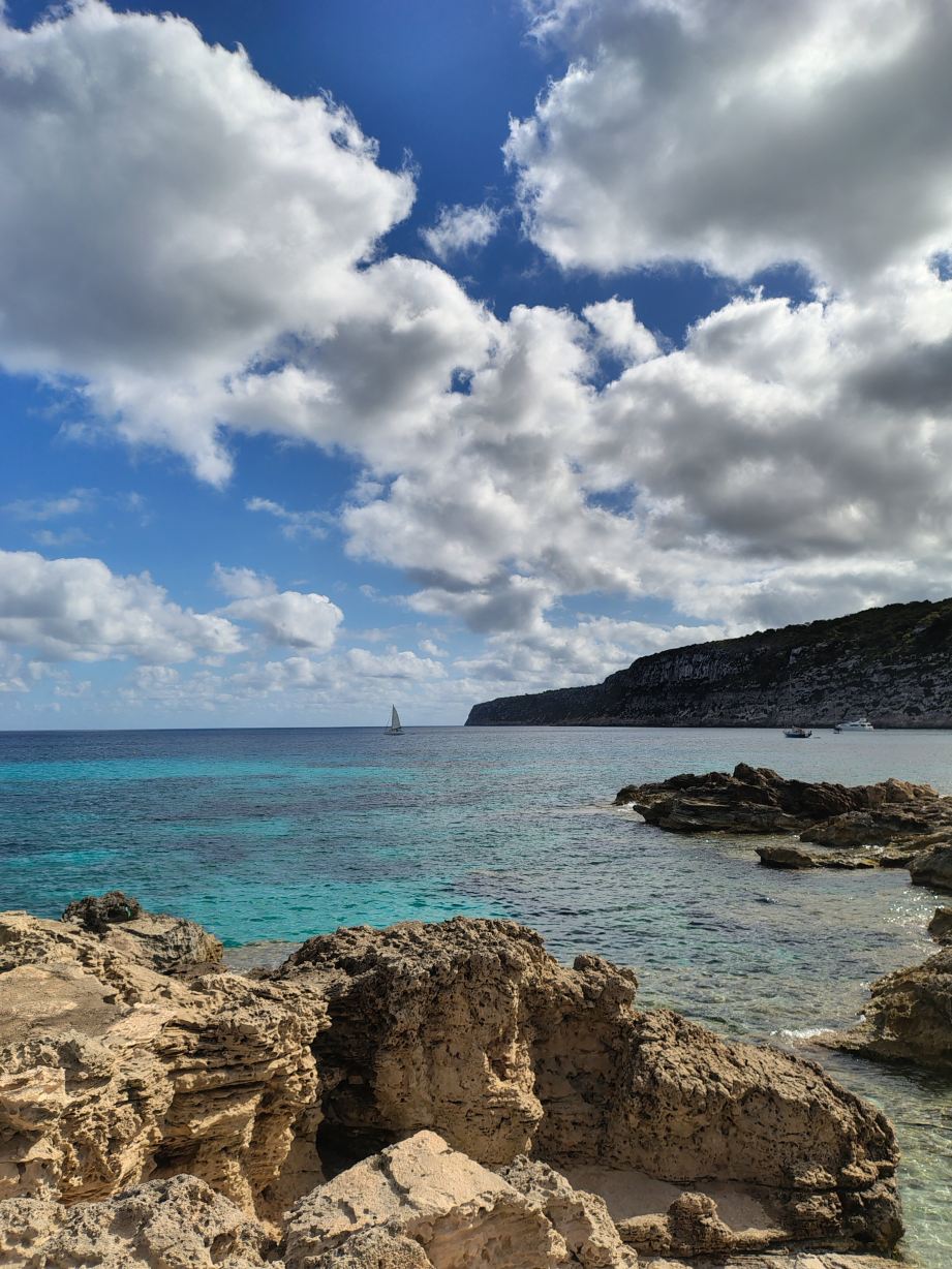 Gaviota - Emar Hotels Adults Only-旅行者