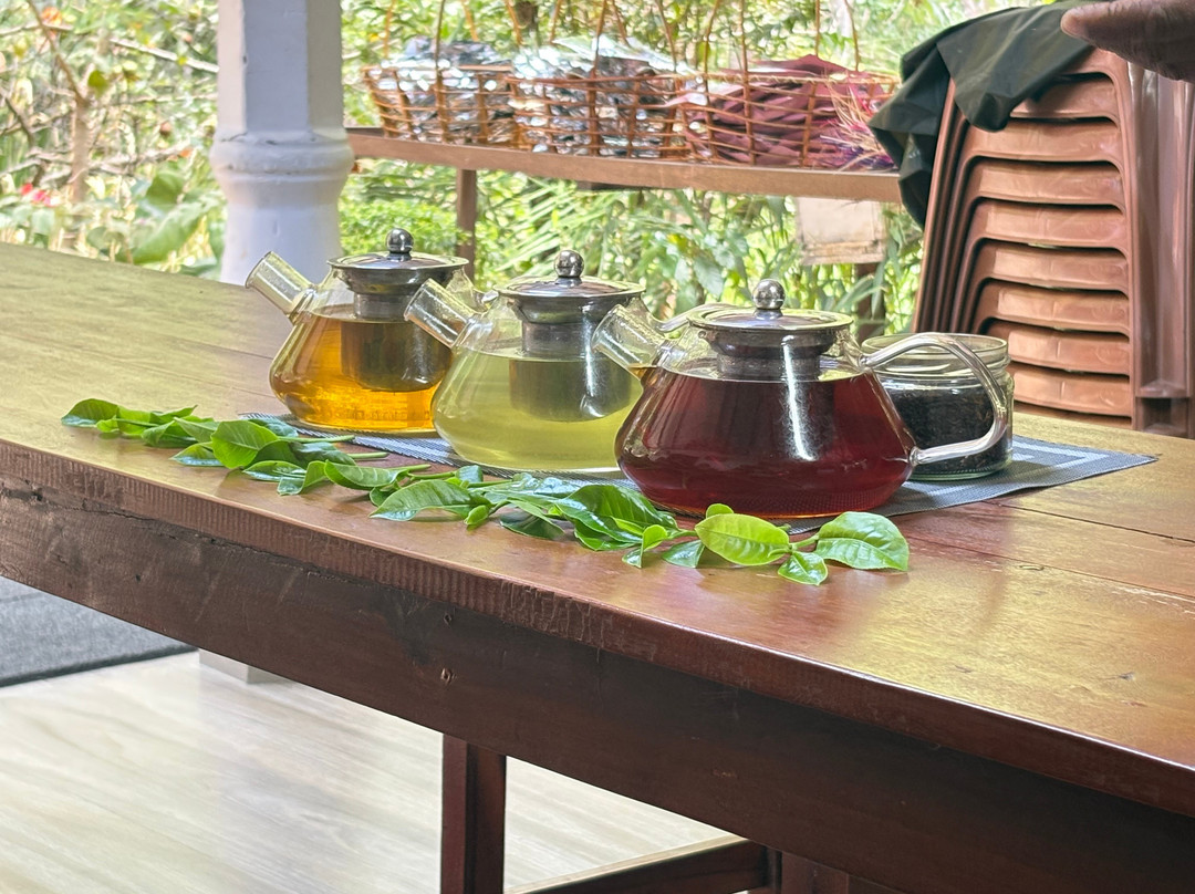 Ella Organic Tea Garden-Heeloya必去景点