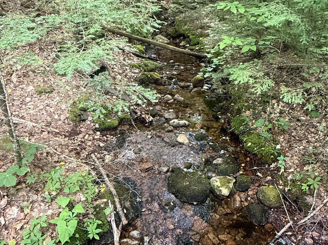 Diana's Baths-北康威必去景点