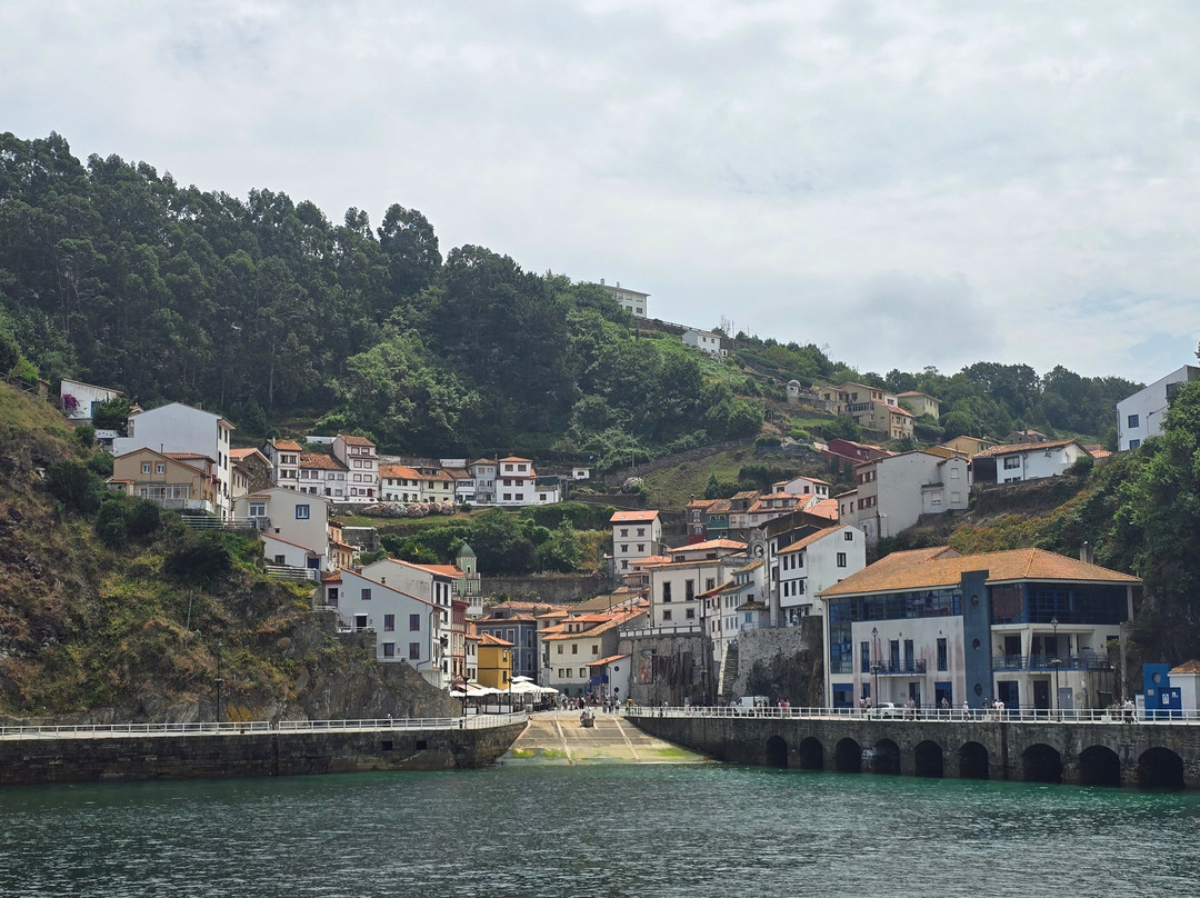 Puerto Pesquero-库迪列罗必去景点