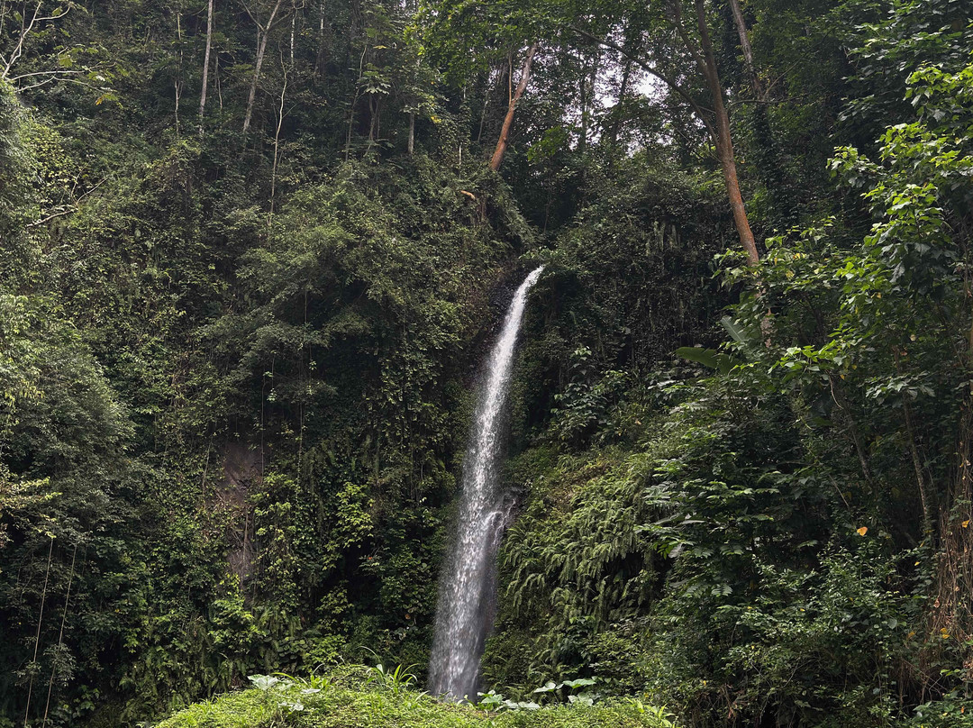 Bombaim Waterfalls-Bombaim必去景点