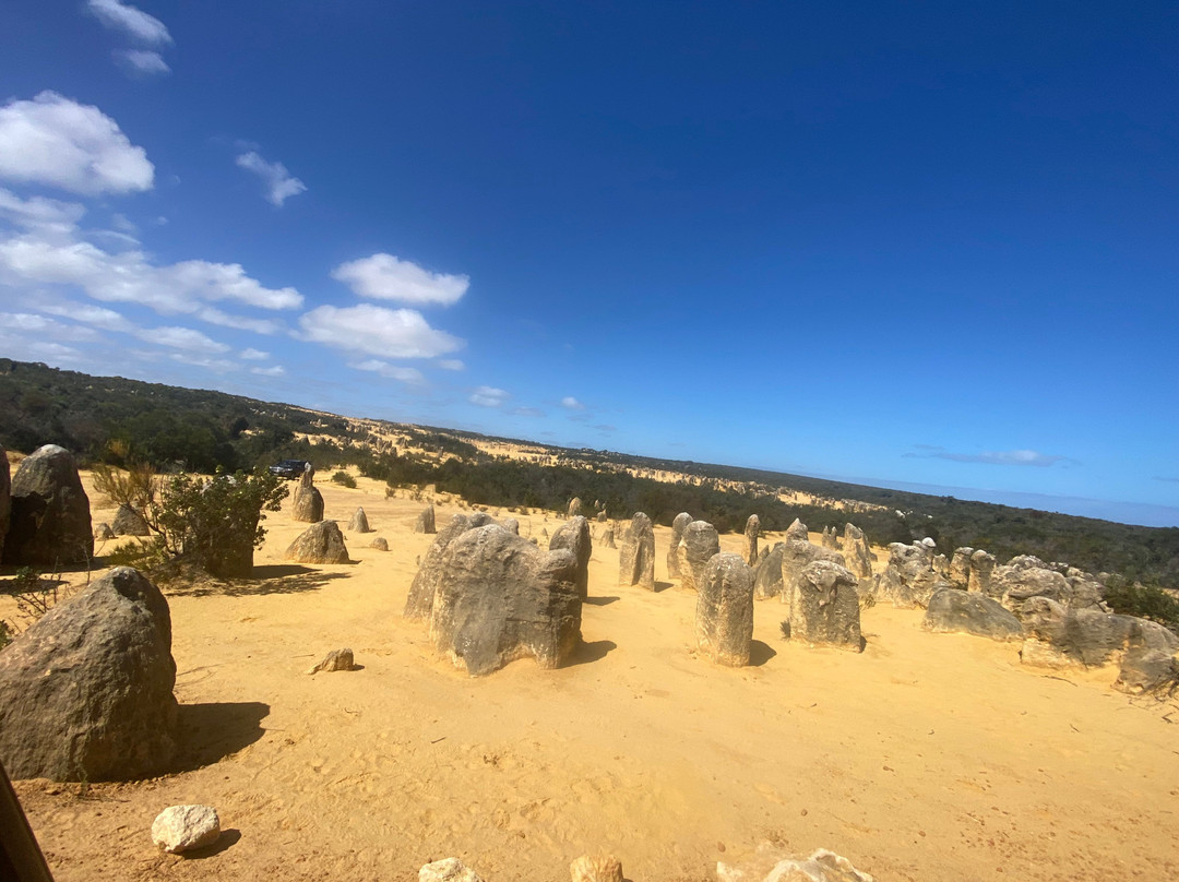 The Pinnacles Desert