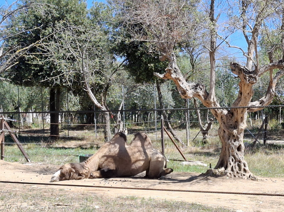 Zoo d'Abruzzo-Rocca San Giovanni必去景点
