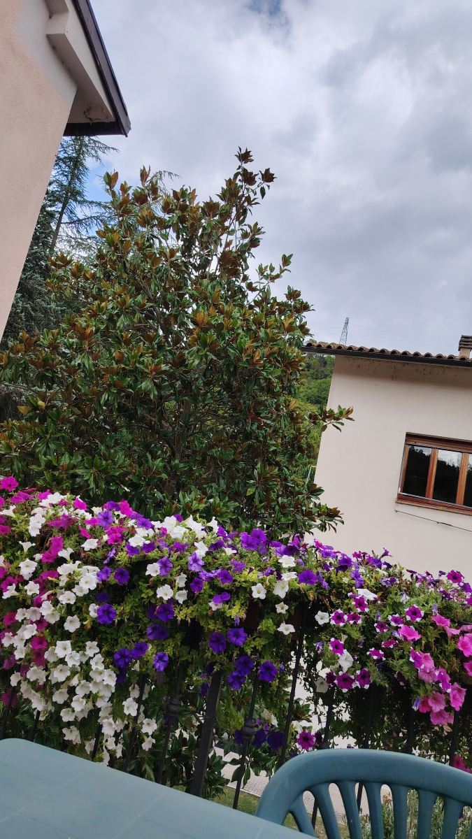 B&B Vetralla-旅行者