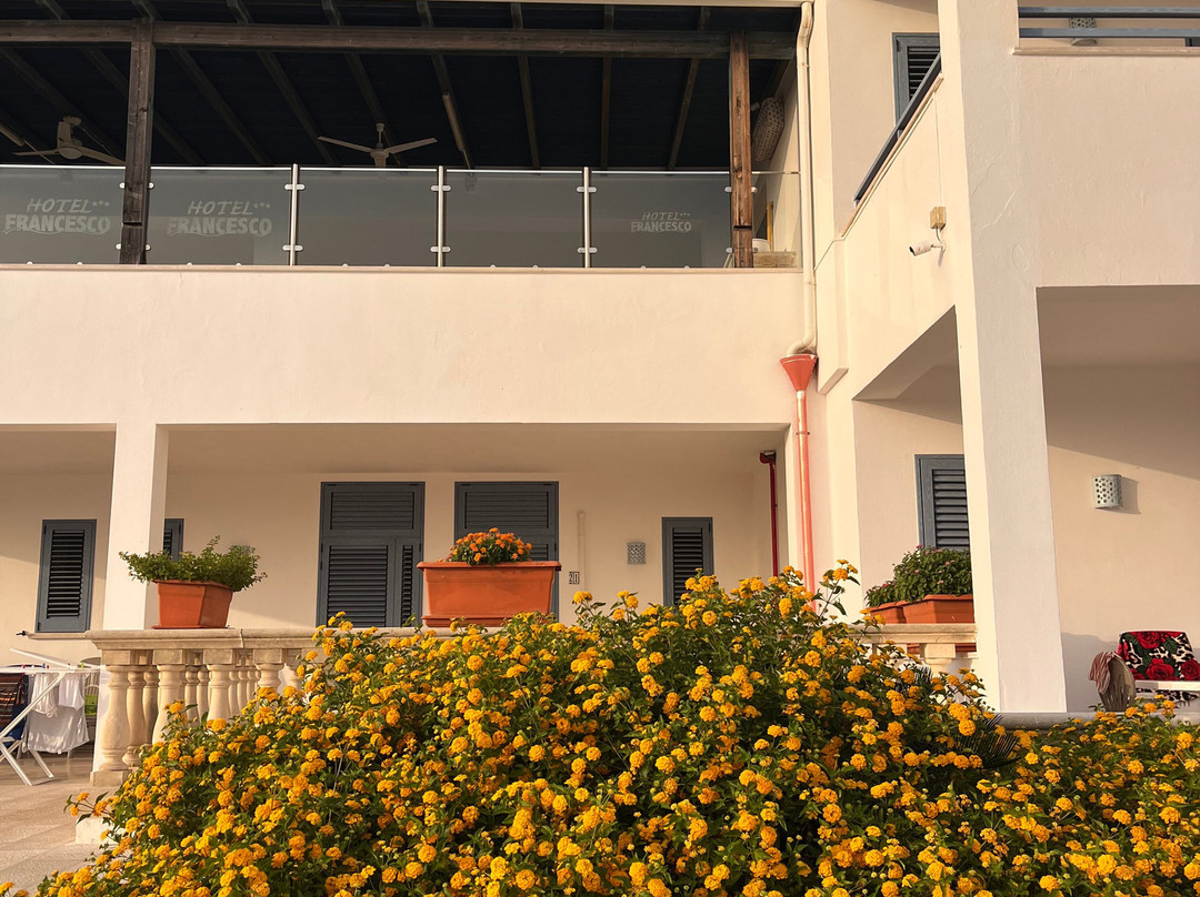 Hotel Francesco主图
