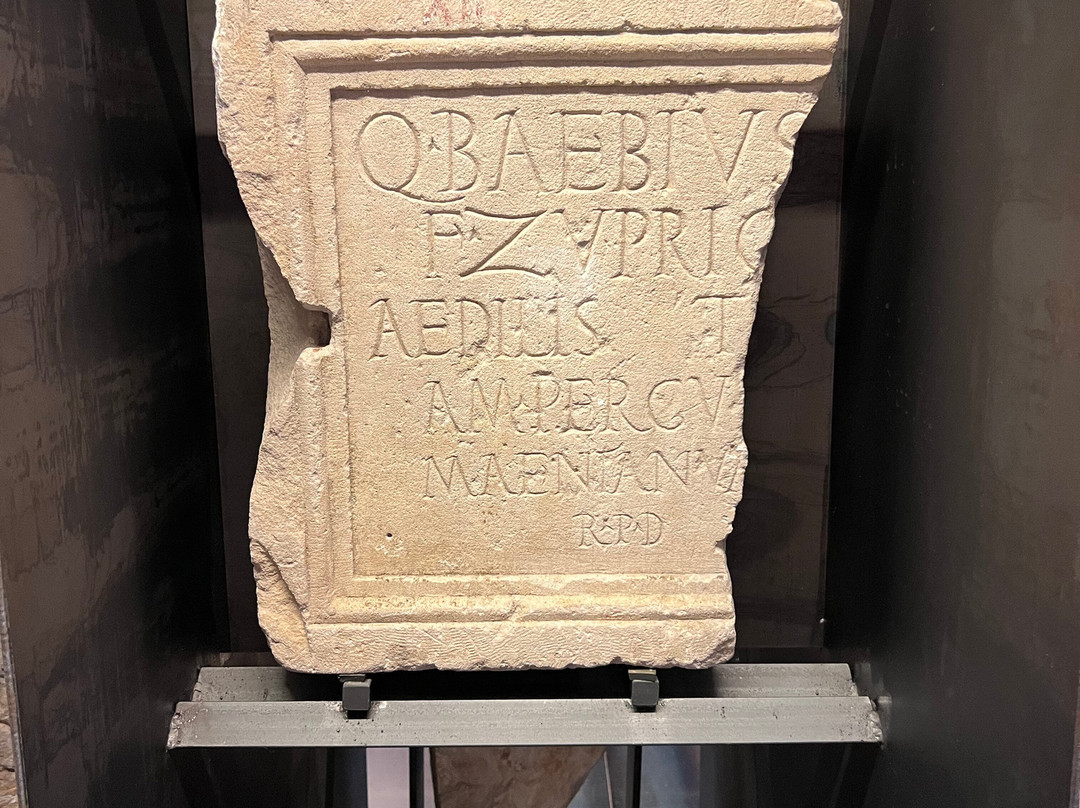 Archaeological Museum Zadar-扎达尔必去景点